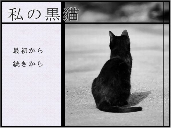 私の黒猫1.JPG